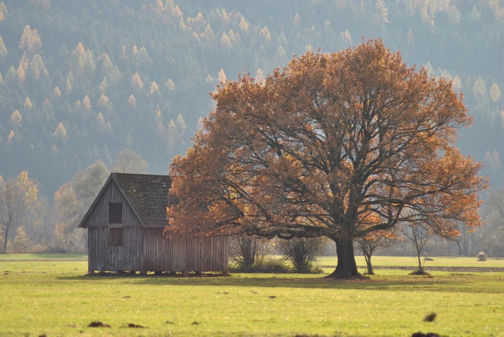 Ferienwohnung Pichlarn Aigen im Ennstal Exteriér fotografie